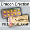 Dragon Erection new06